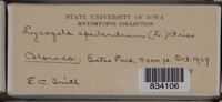 Image Associated With the Occurence